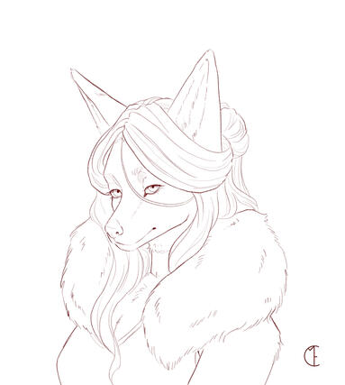 Sketched bust (commission)